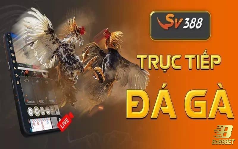đá gà sv388 uy tín tuyệt đối tại nhà cái bo88bet đá gà sv388 uy tín tuyệt đối tại nhà cái bo88bet